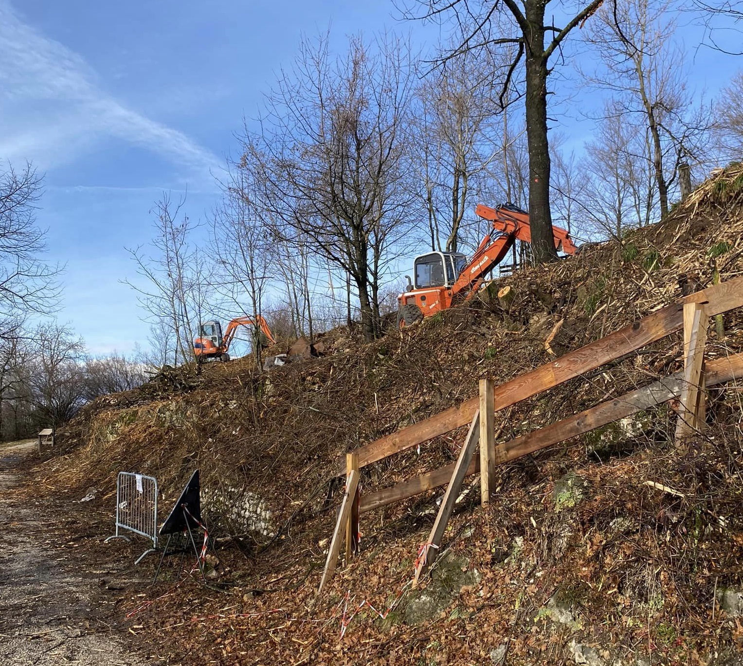 Apiario comunale, al via i lavori