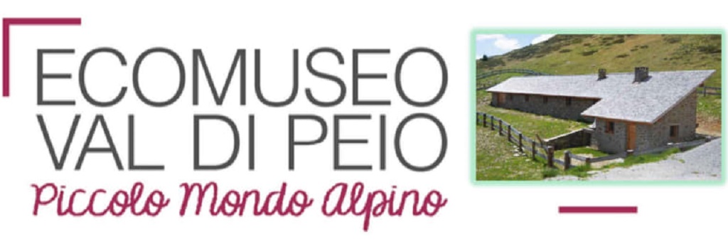 In gita a Malga Monte