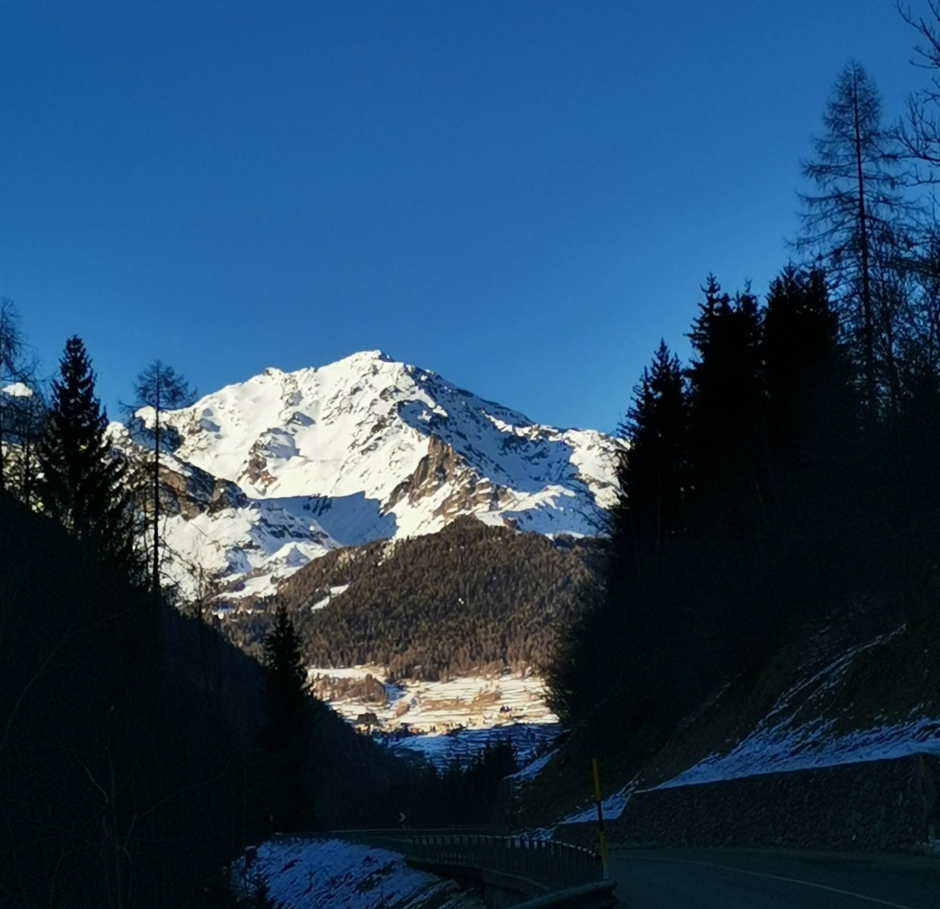 Sar&agrave;  una merla anomala?