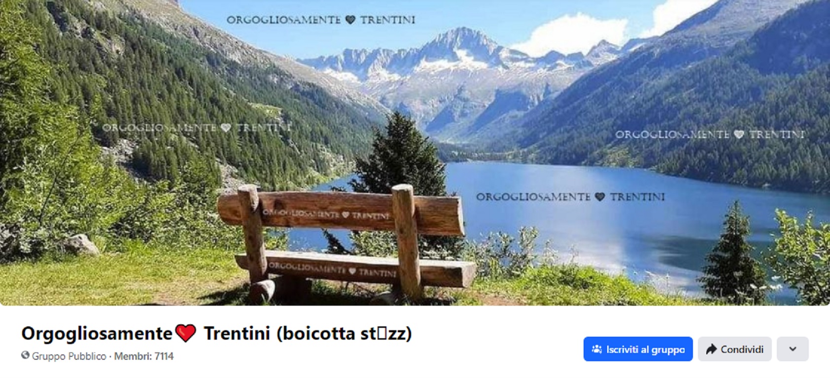 Orgogliosamente trentini: 'Ennesima situazione di pericolo per un orso confidente'