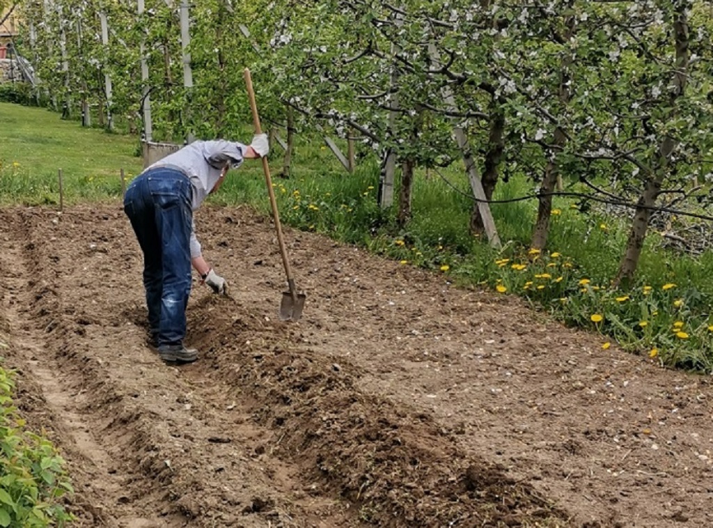 Oggi &egrave; la Giornata della Terra