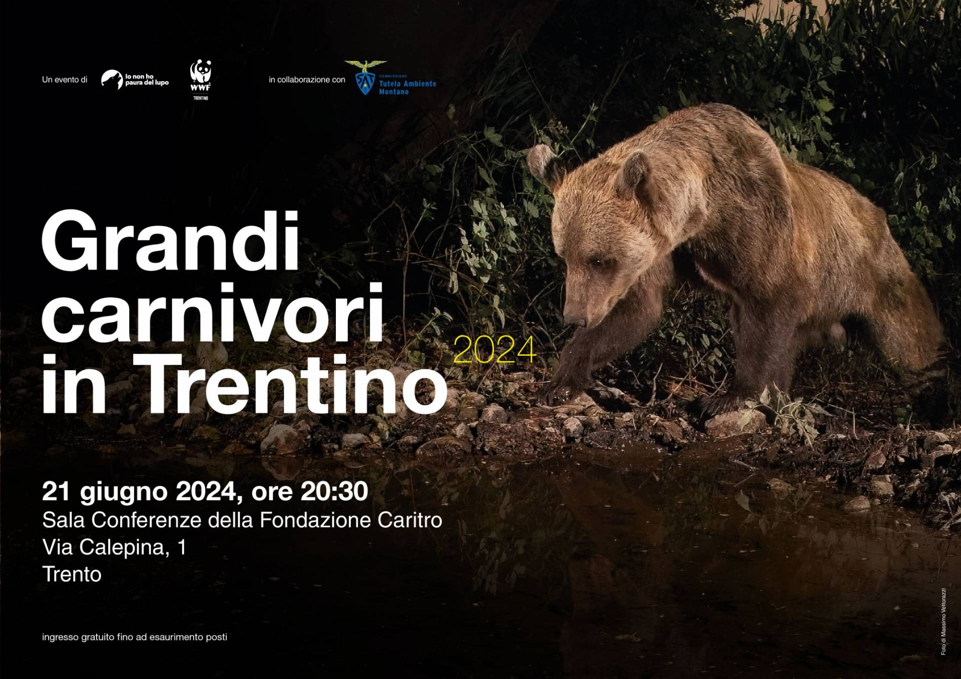 I grandi carnivori in Trentino