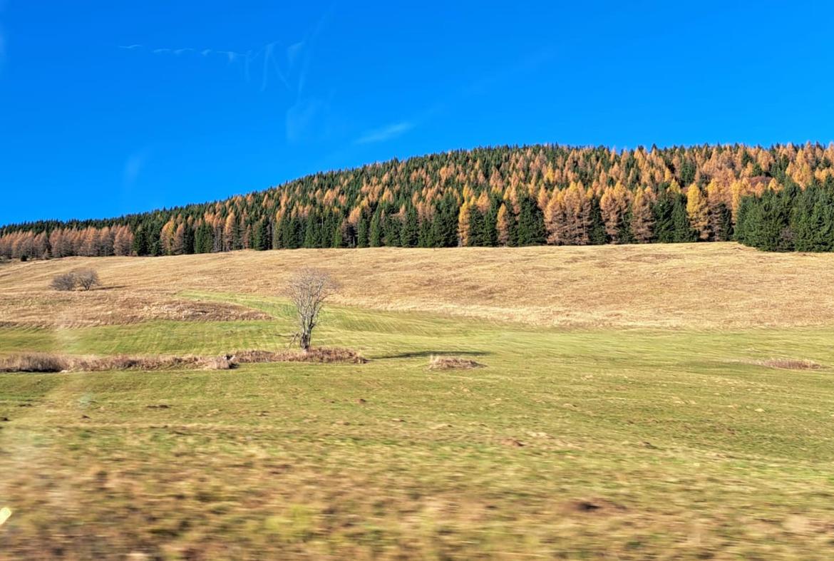 Novembre 2024, precipitazioni scarse e temperature superiori alla media