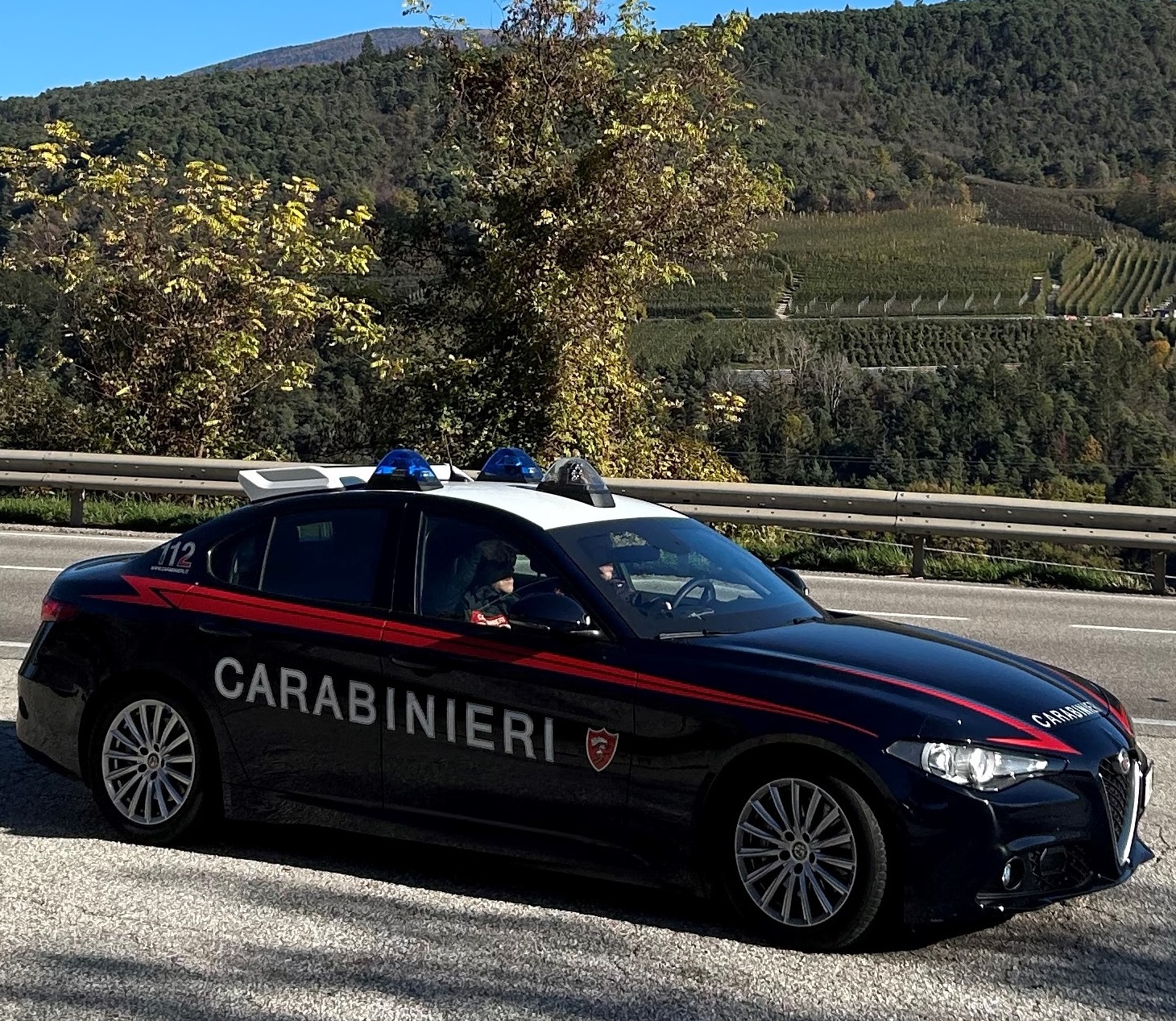 Predaia, ubriaco fermato col taser