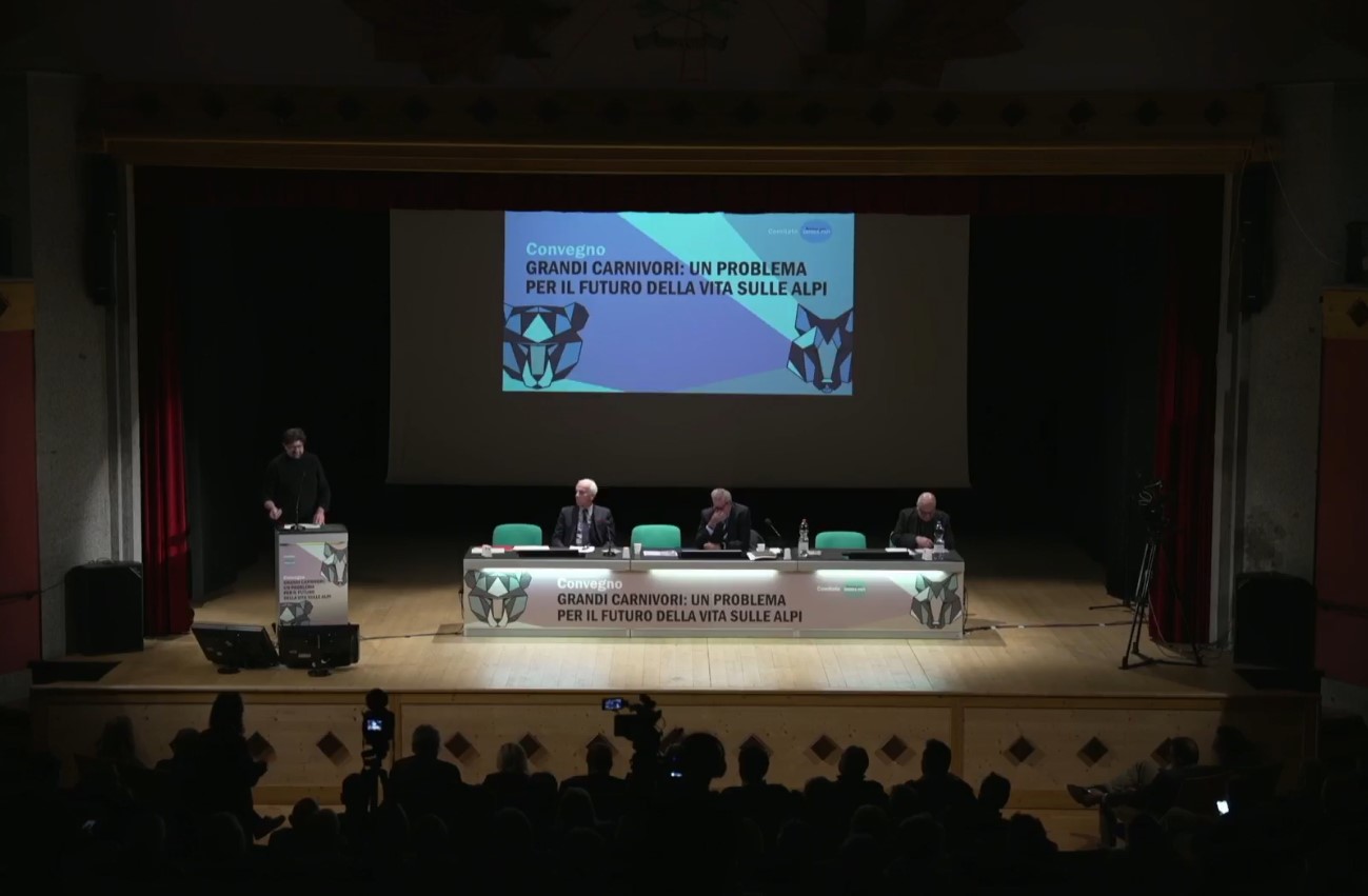 "Dove c"è l"orso c"è il rischio di attacchi"