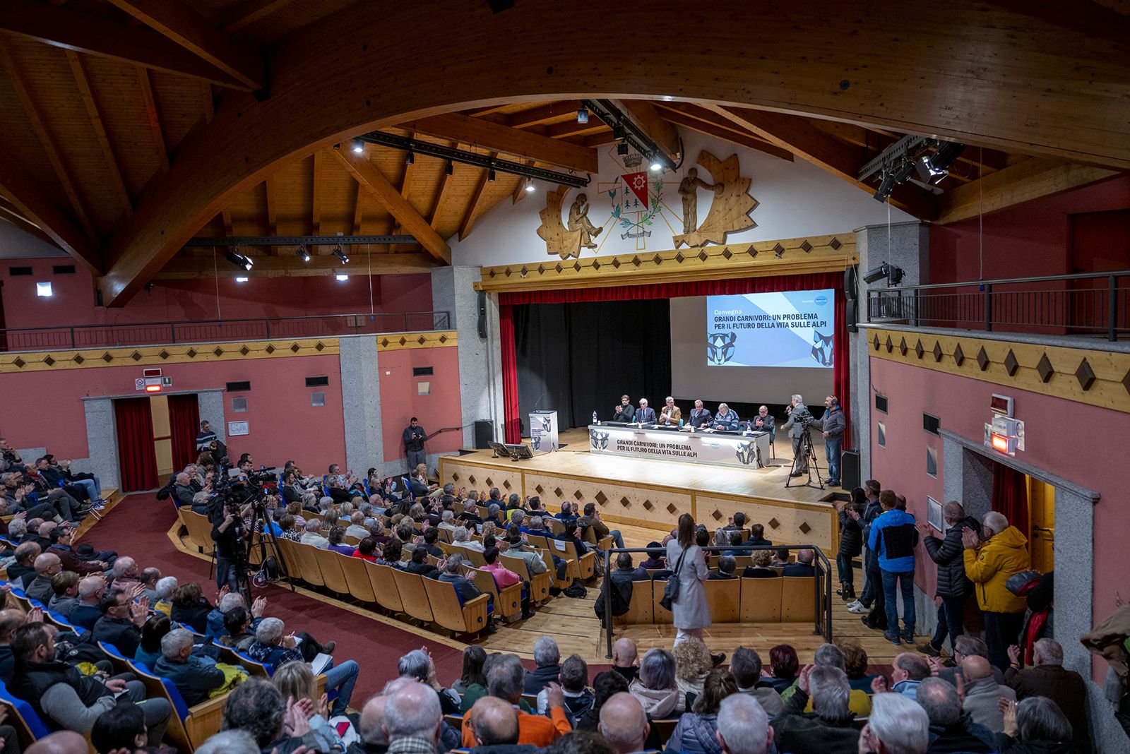 Quanto costa l"orso in Trentino?
