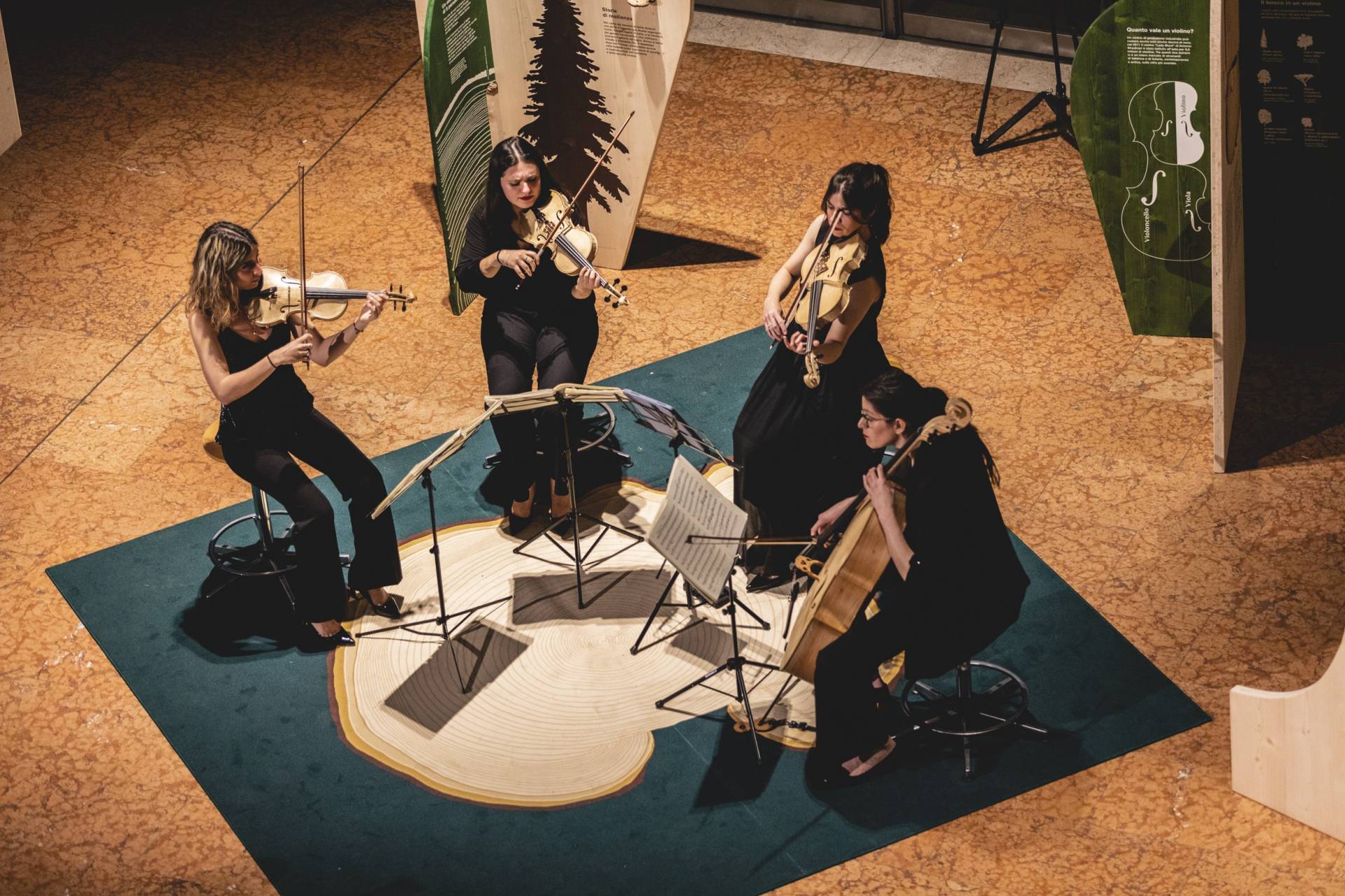 La prima dello spettacolo sull'Avez del Prinzep