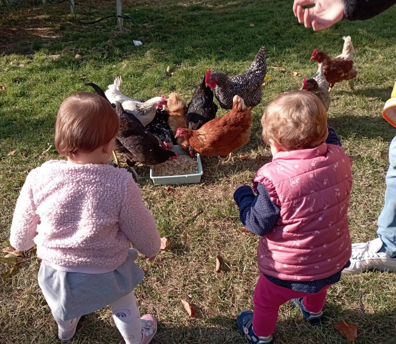 A Tuenno uno spazio per crescere