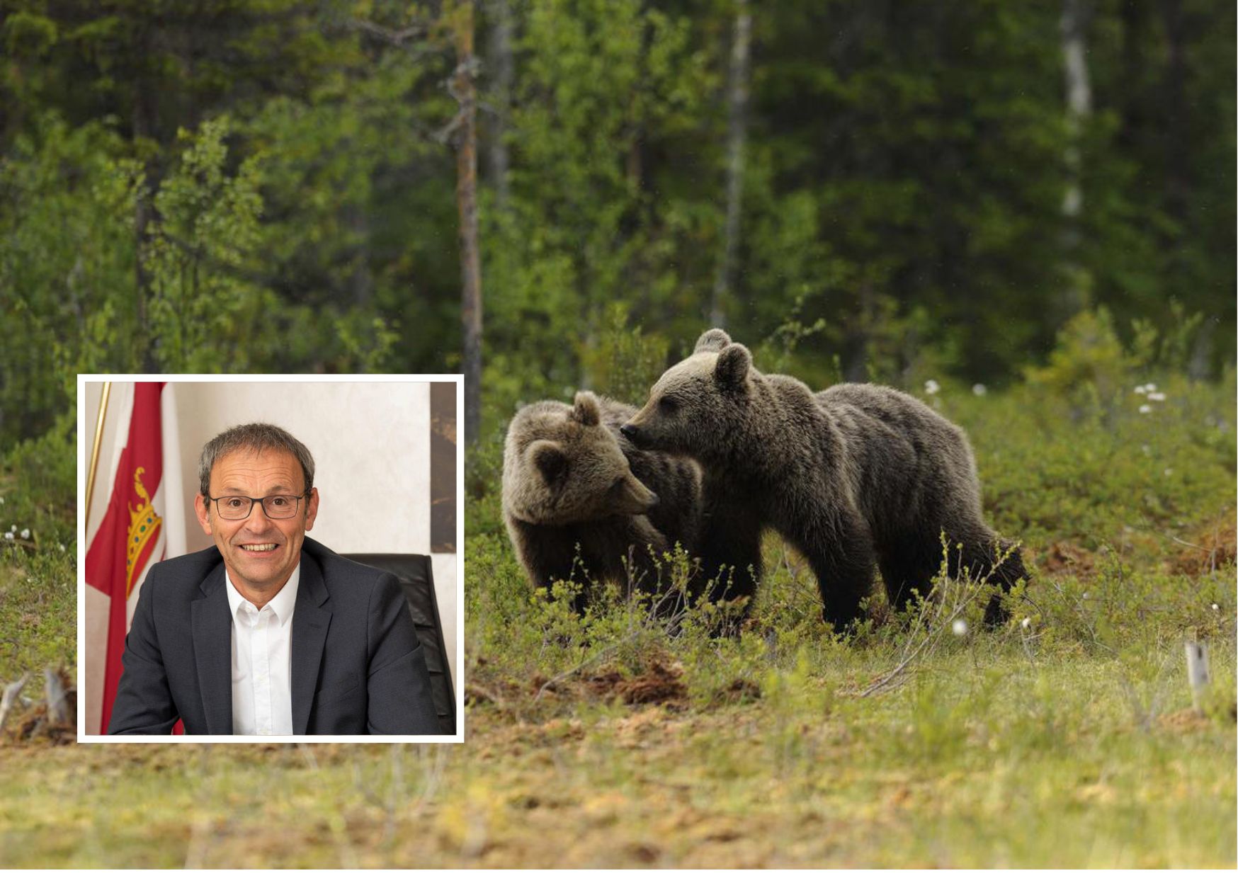 Orso, in Paganella nessuna azione di dissuasione