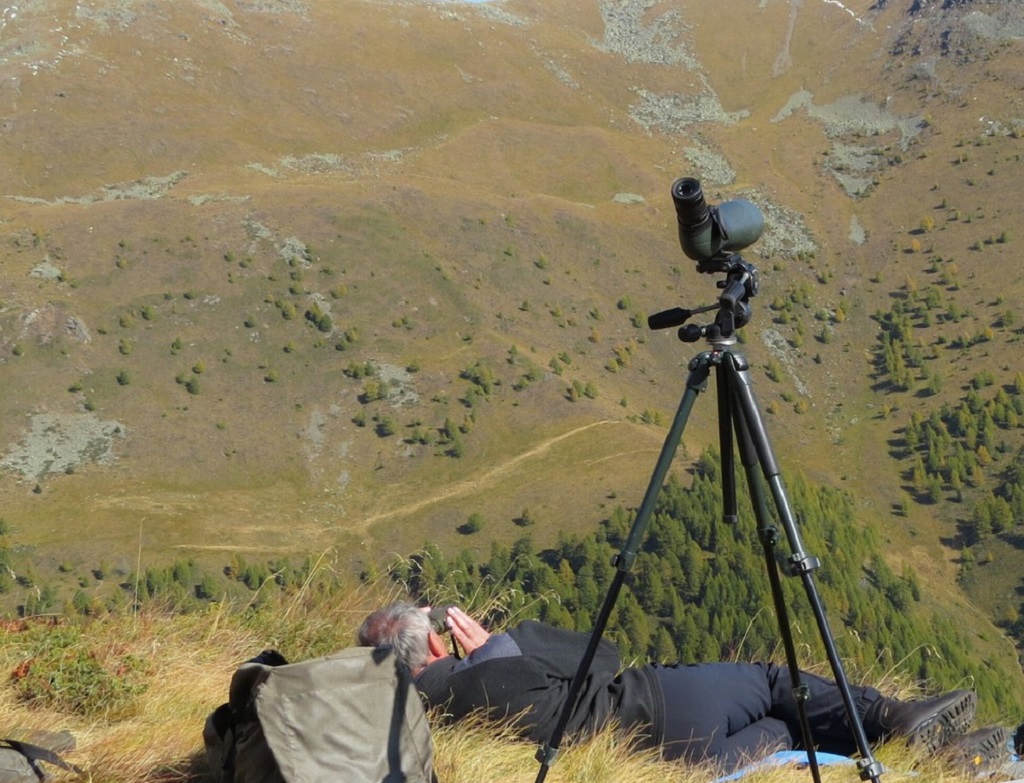 Quattro gipeti, ventidue aquile