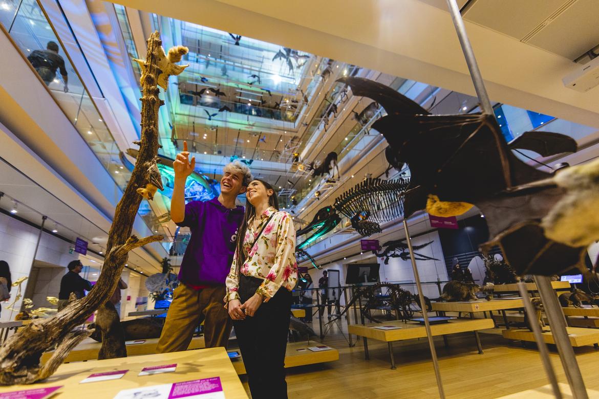 Le festività natalizie nei musei e nei castelli della rete provinciale