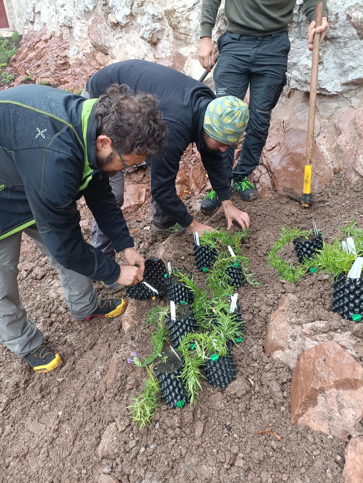 A Castel Thun il progetto Life Seedforce porta la Melissa Austriaca