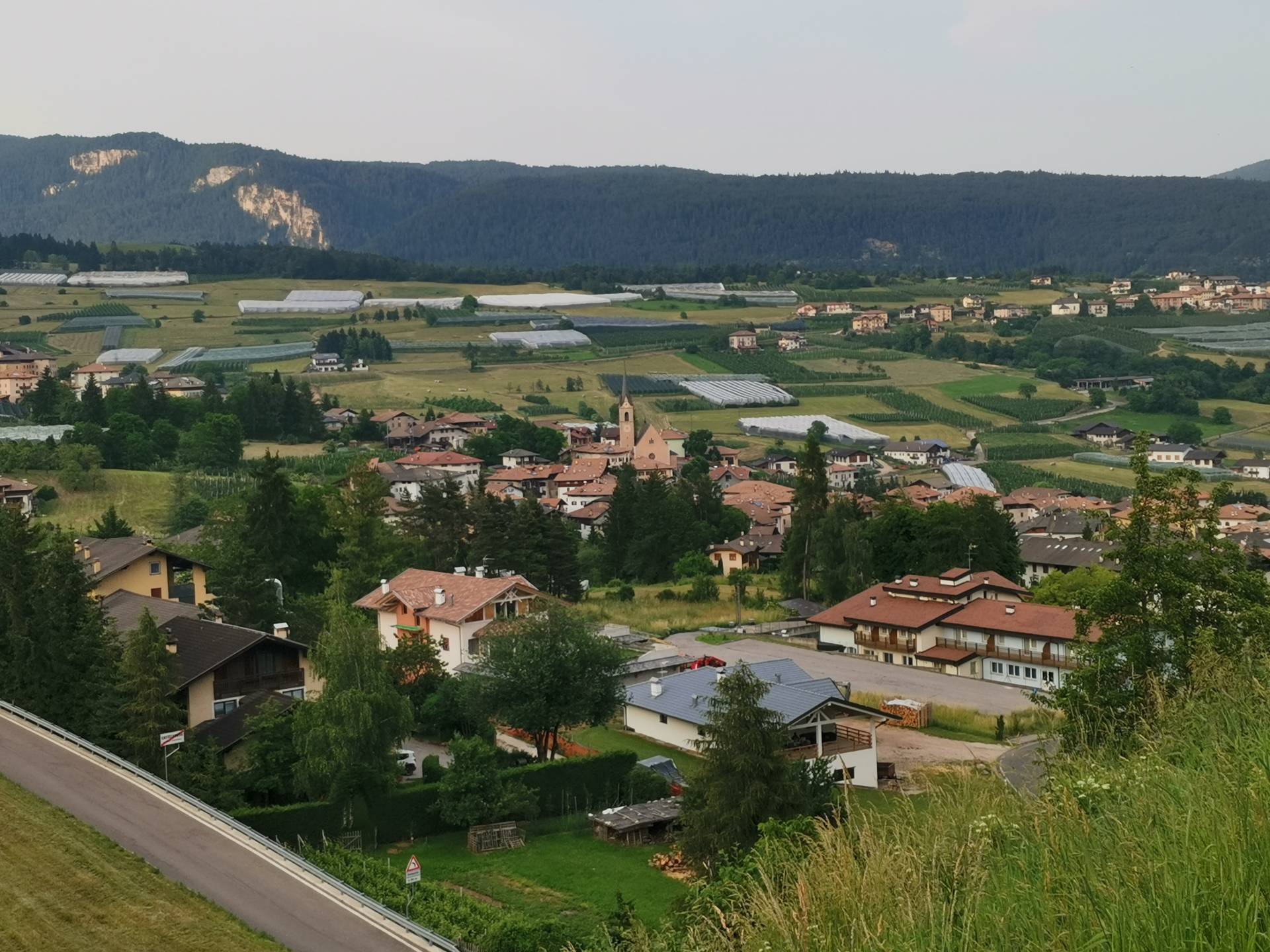 Castelfondo, lupo bloccato in un canale rilasciato nel bosco