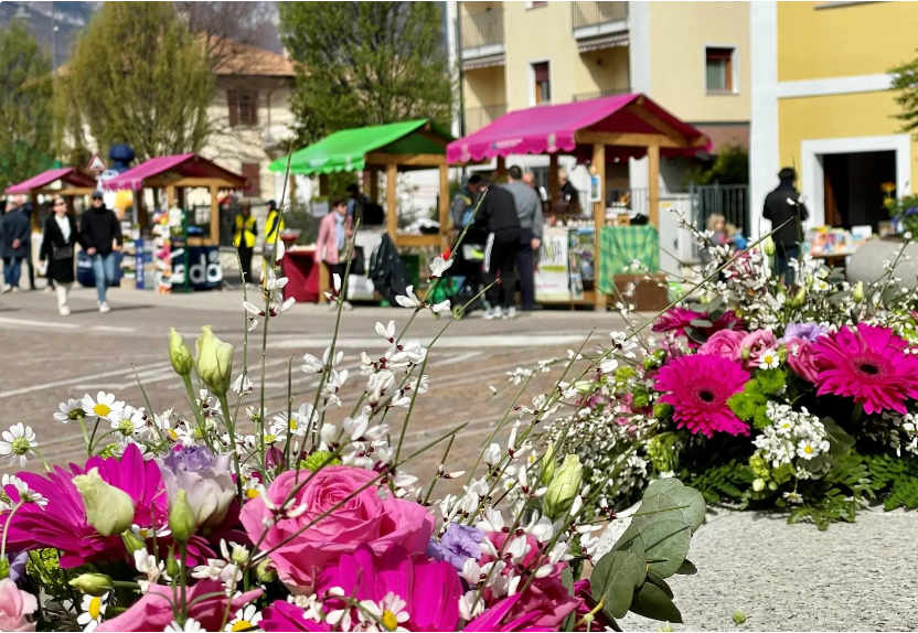 A Mollaro sboccia Fiorinda