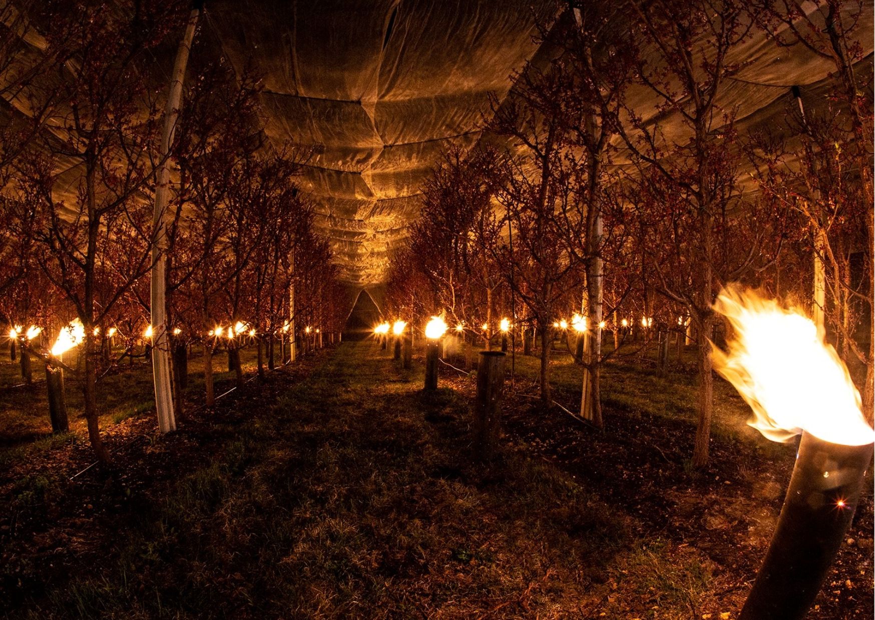 Gelate, notti di fal&ograve; in Val di Non