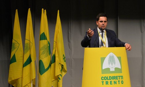 Giovani agricoltori, +13%