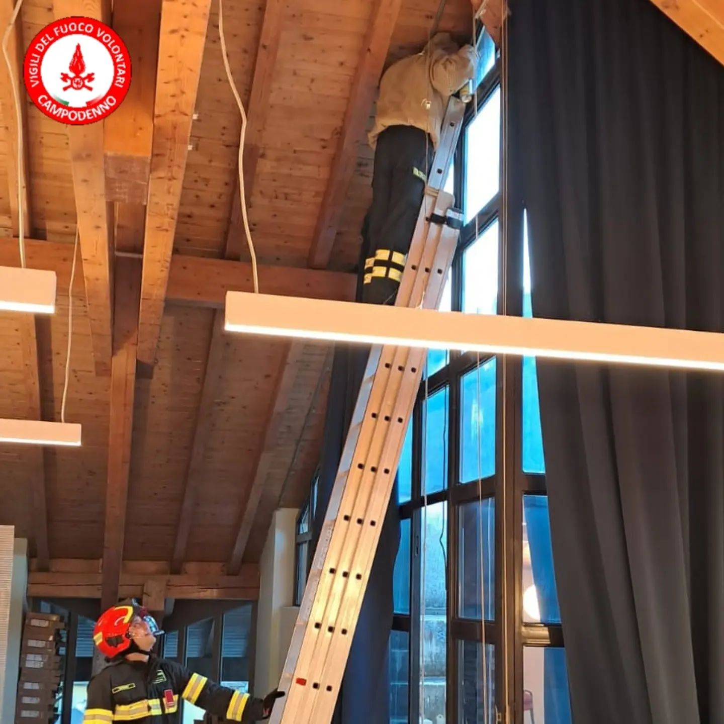 Campodenno, vespe alle elementari