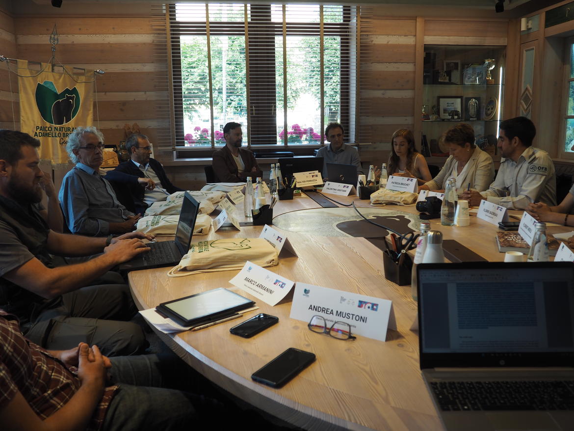 Grandi carnivori, confronto fra Trentino e Parigi sulla gestione