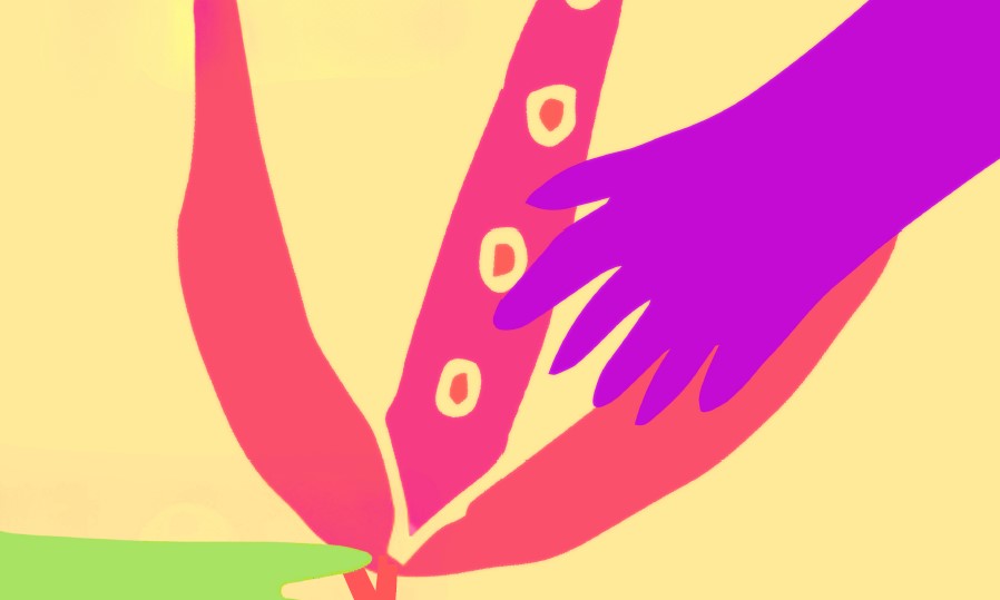 Ultimo appuntamento con la sostenibilità eco-femminista