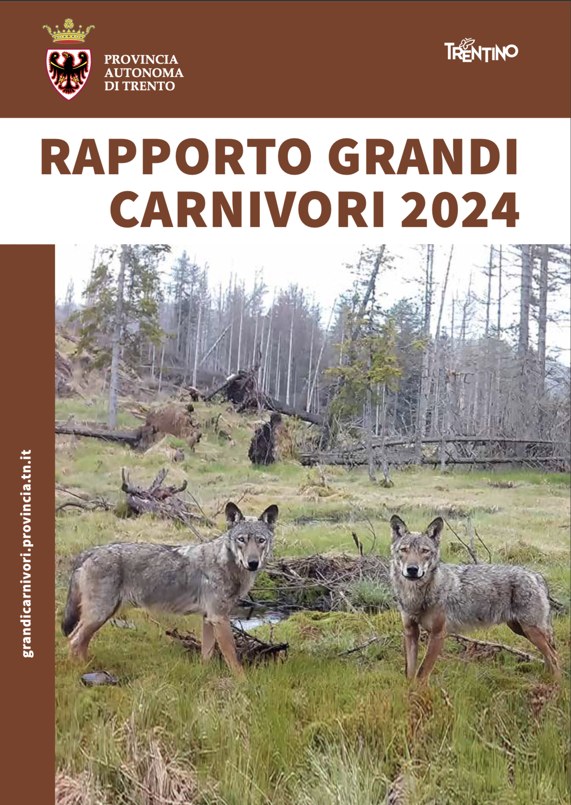 Pubblicato il Rapporto grandi carnivori 2024
