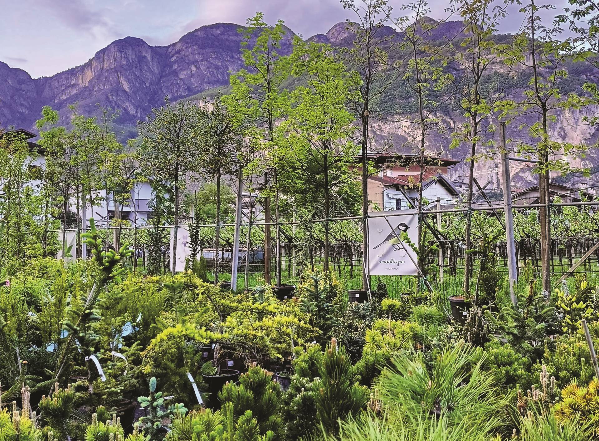 Verso un nuovo giardino trentino