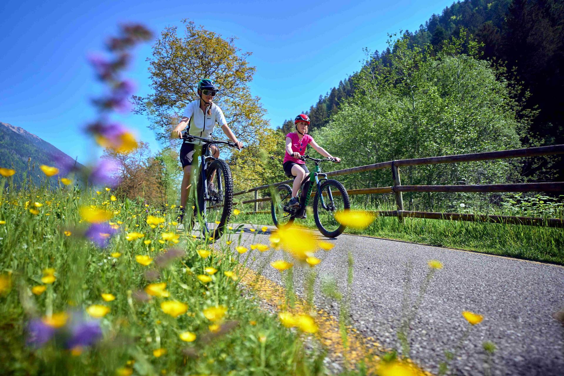 Pedalata con gusto in Val Rendena