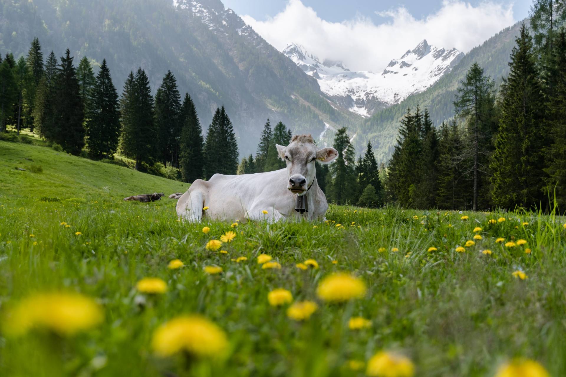 In Val di Sole un’estate tra natura, tradizioni e sostenibilità