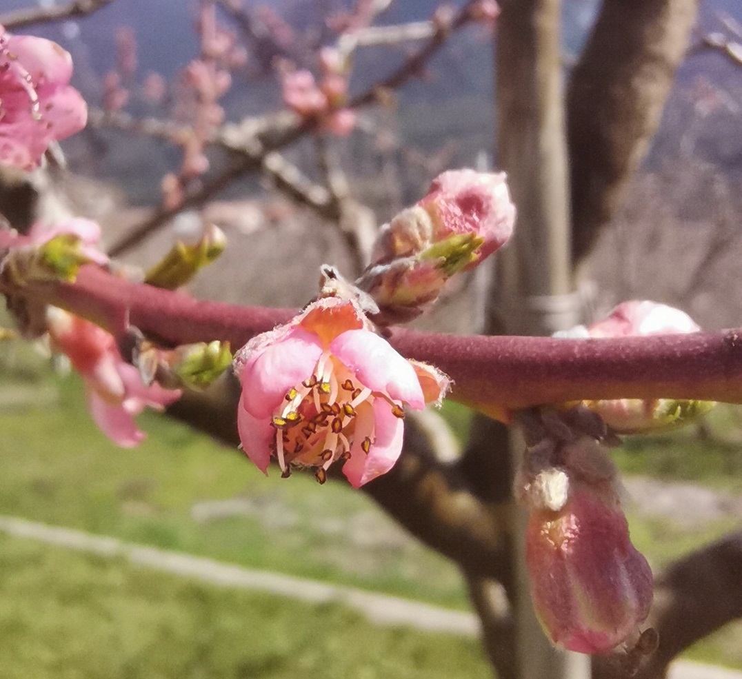 21 marzo, Giornata della Poesia