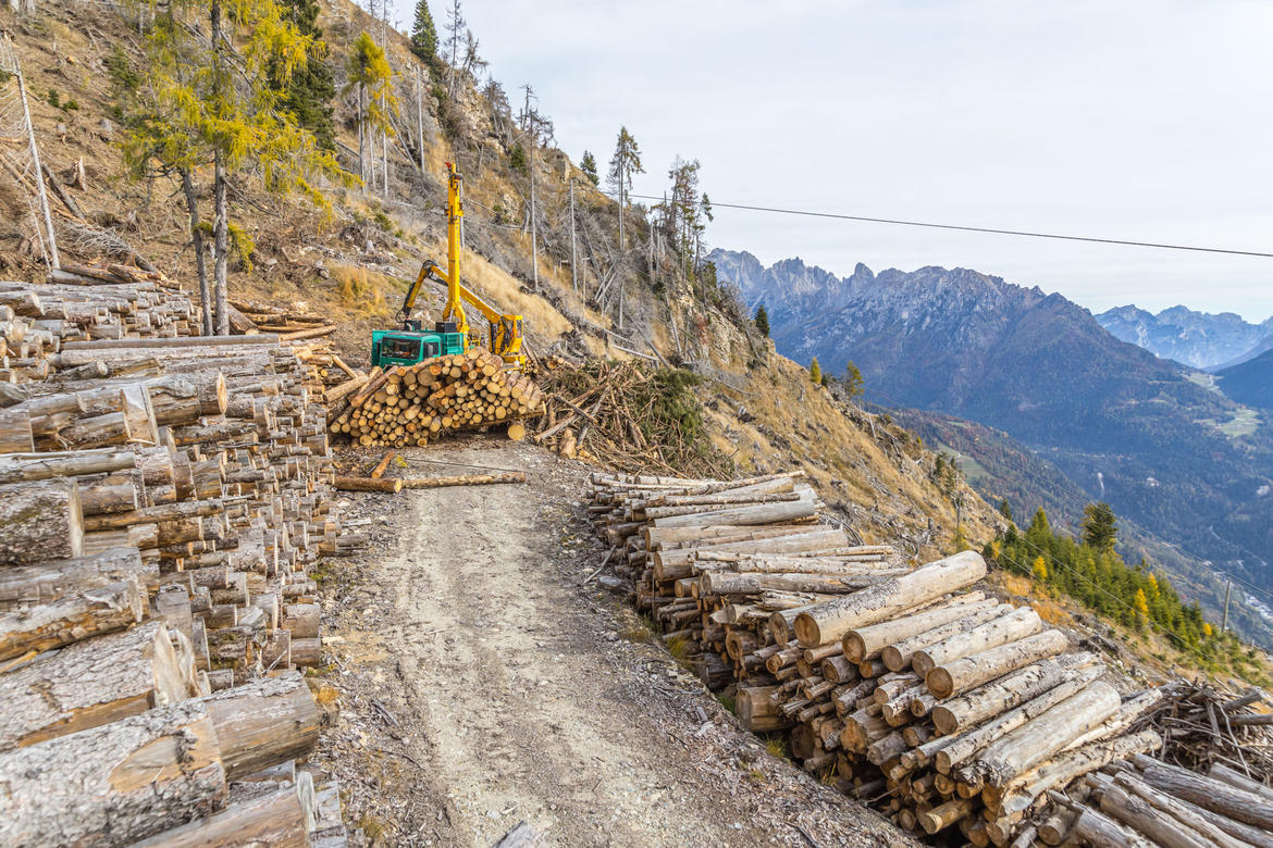 Altri 1.8 milioni di euro in investimenti per le attrezzature forestali