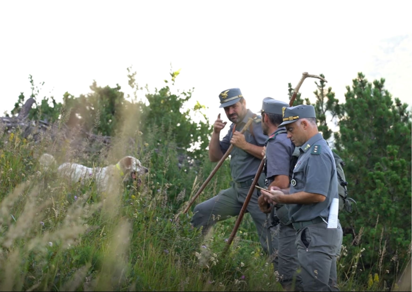 12 nuovi funzionari per il corpo forestale