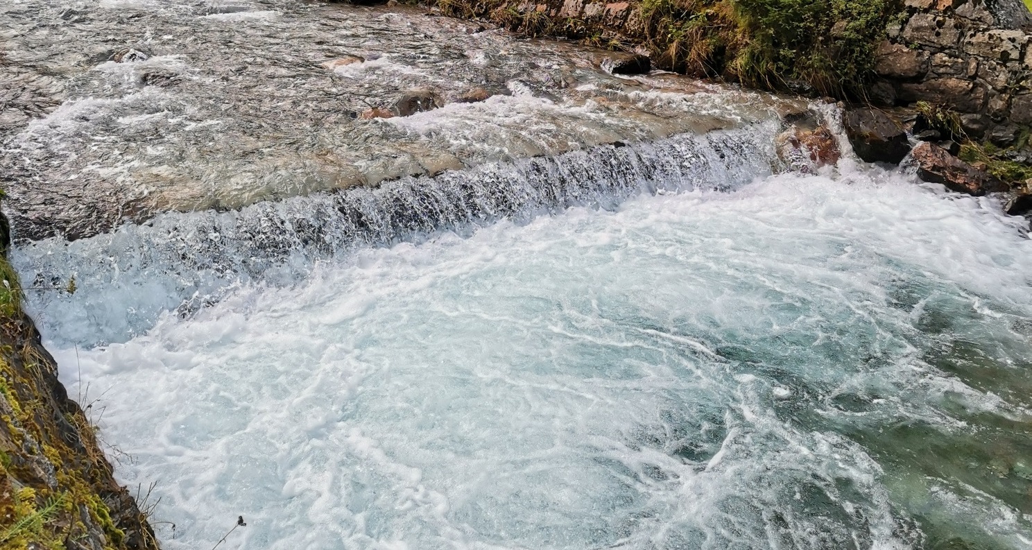 La Giornata Mondiale dell’Ambiente 