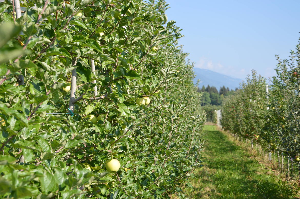 Incontri estivi per gli agricoltori