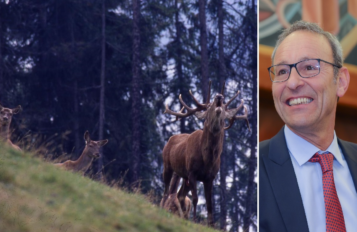 Approvato il nuovo Piano faunistico provinciale, ora più snello e digitale