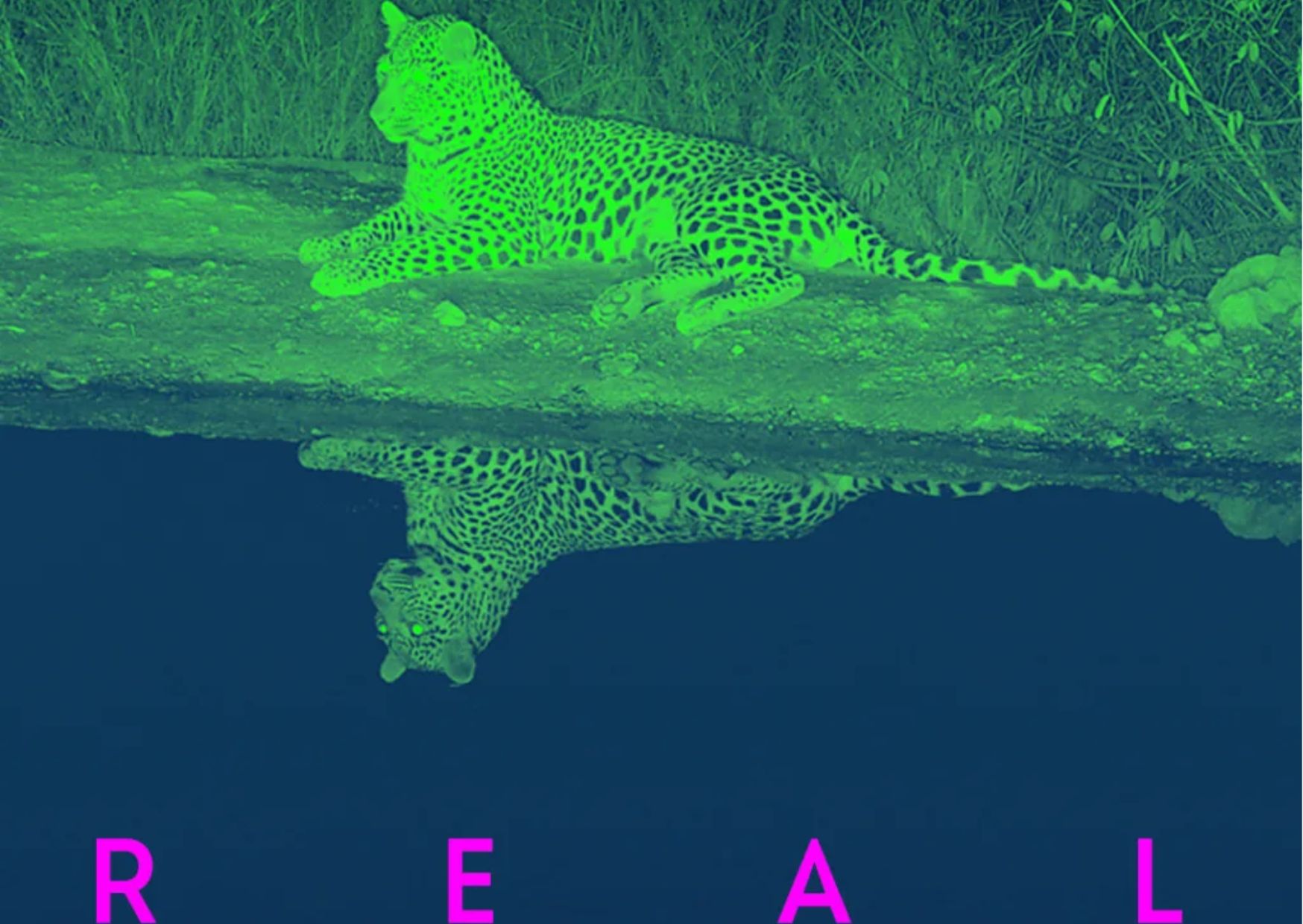 La vita nell'era digitale