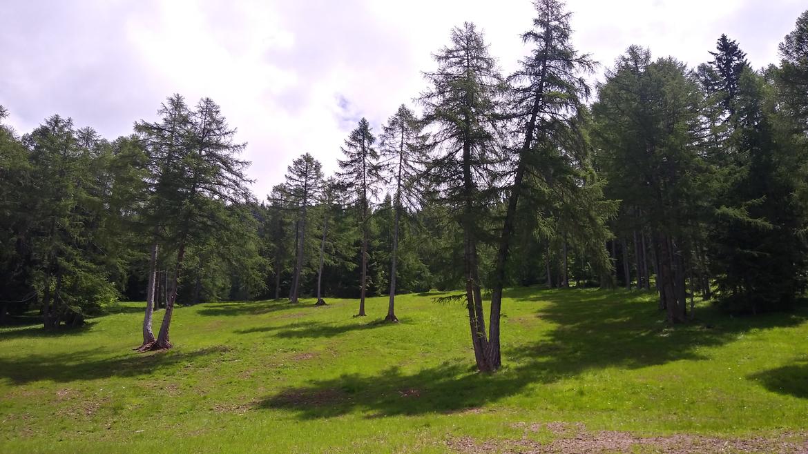 Sostegni per l’allevamento in malga e la tutela della biodiversità del paesaggio rurale