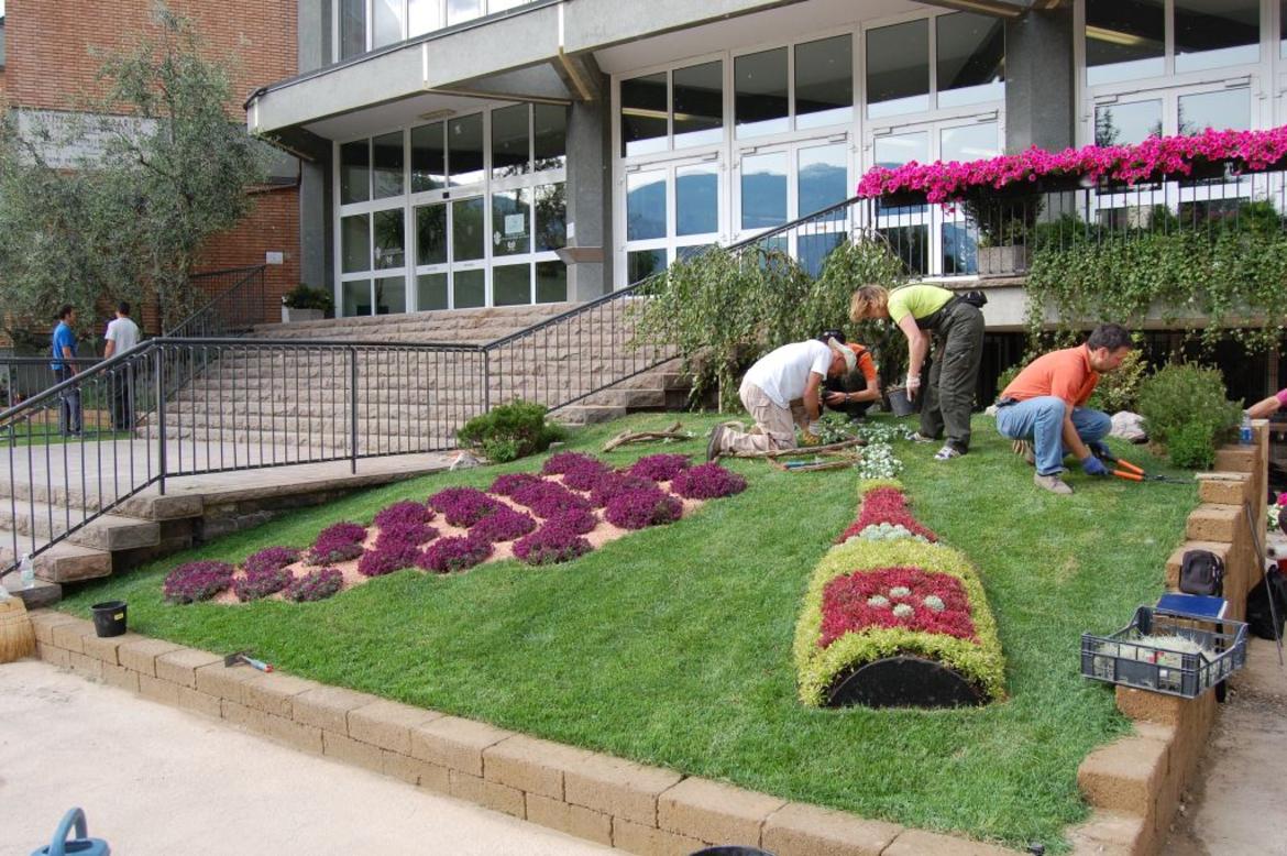 Tecnico superiore per il verde “sostenibile”, iscrizioni entro il 30 giugno