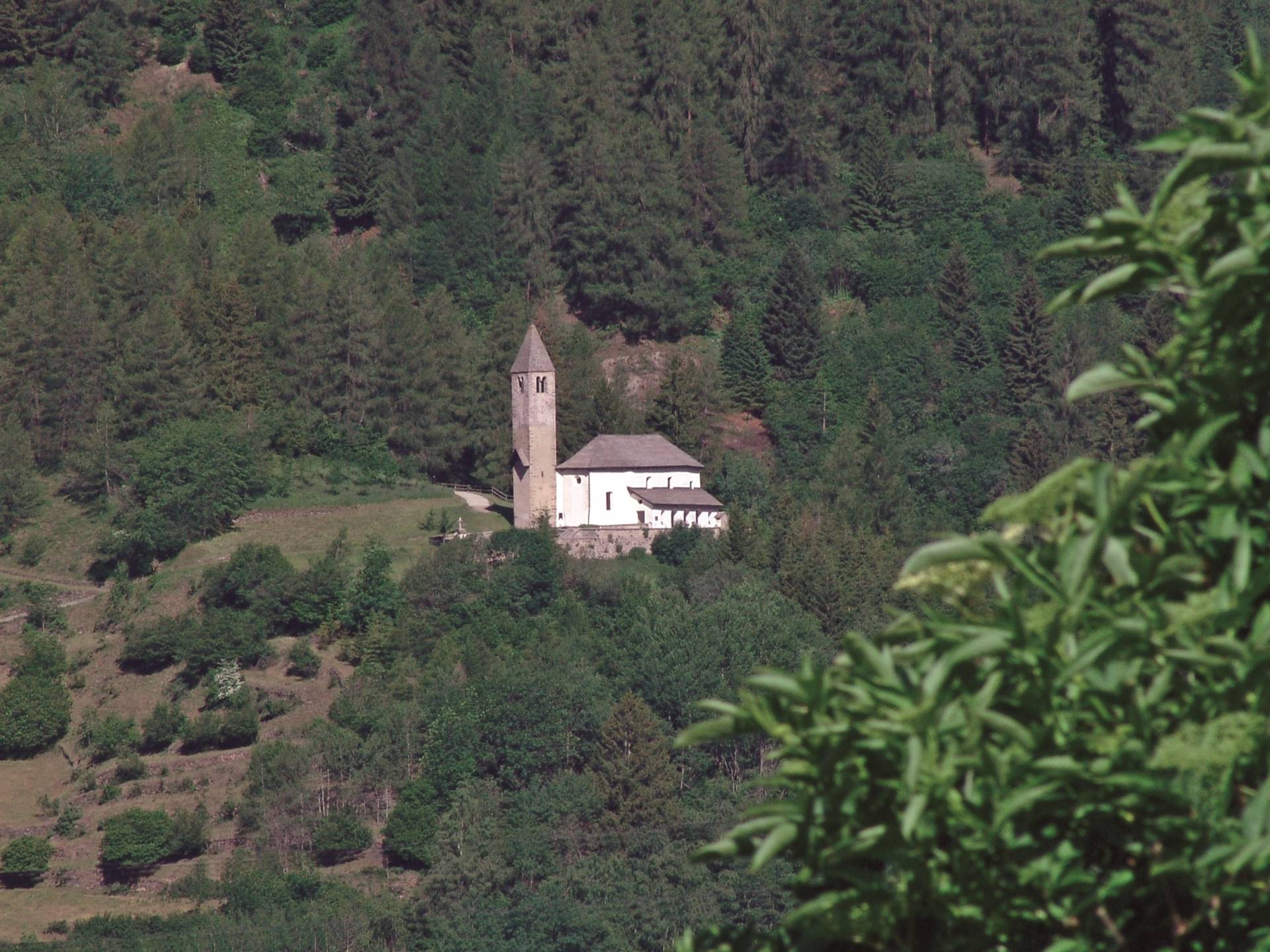 A naso in su a Comasine