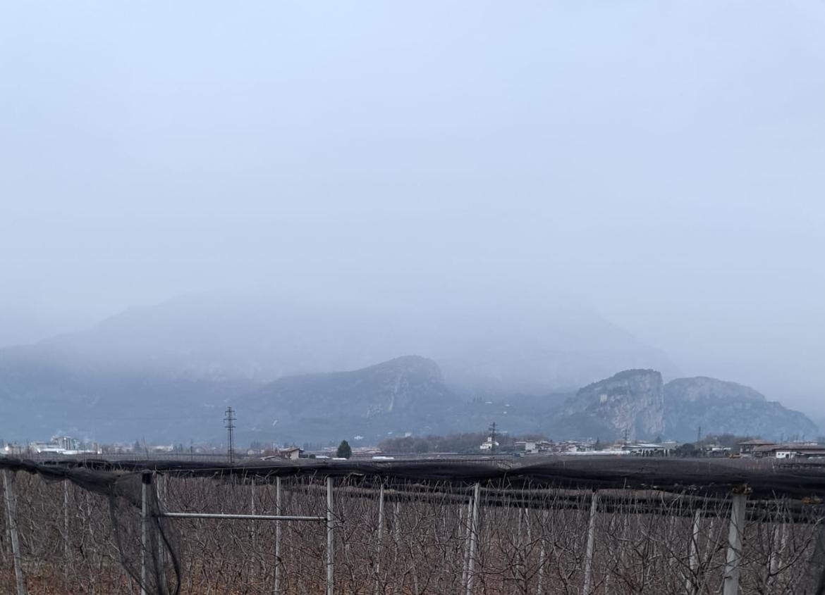 Viabilità, attualmente non si registrano particolari disagi