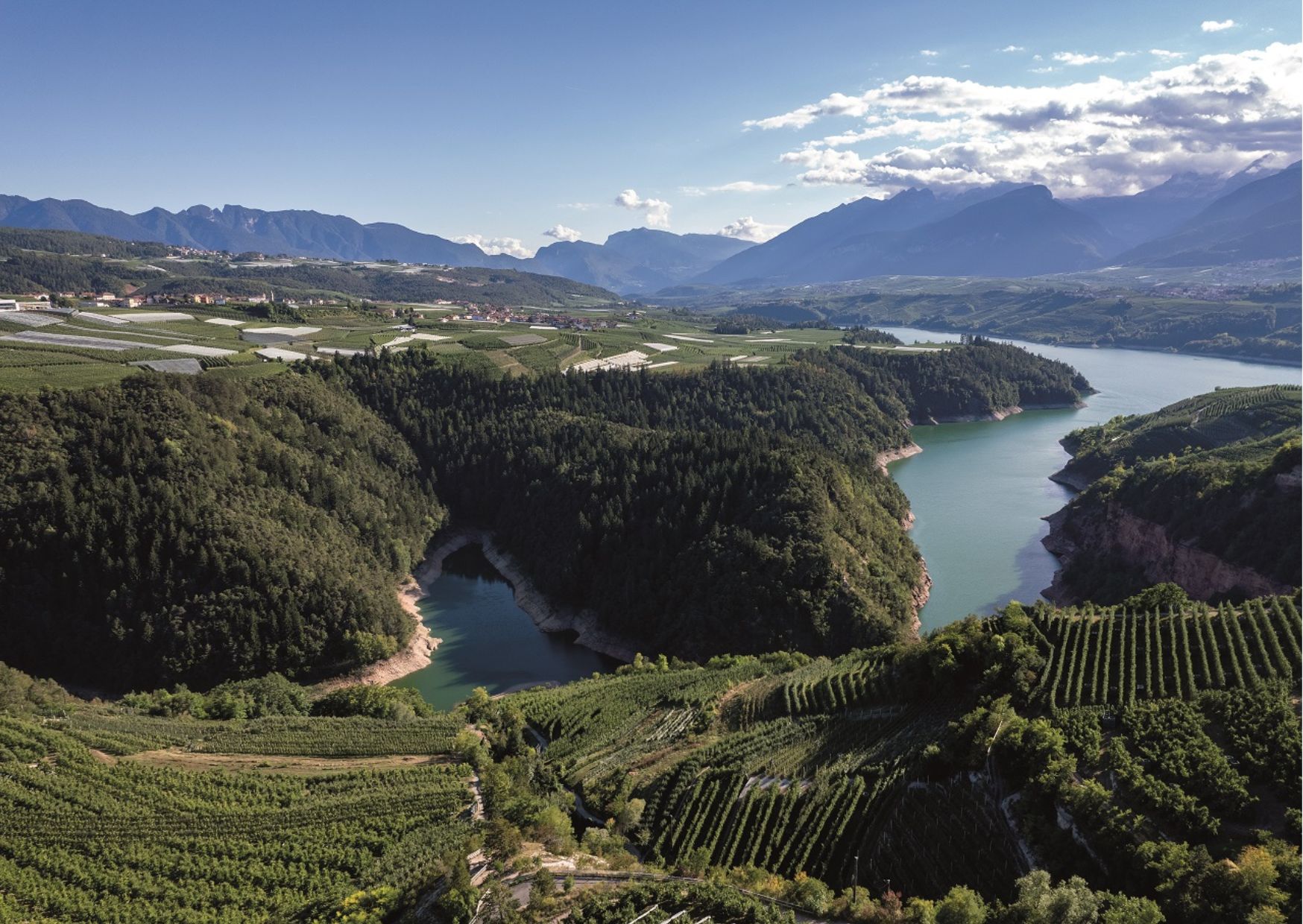 Valli del Noce al voto