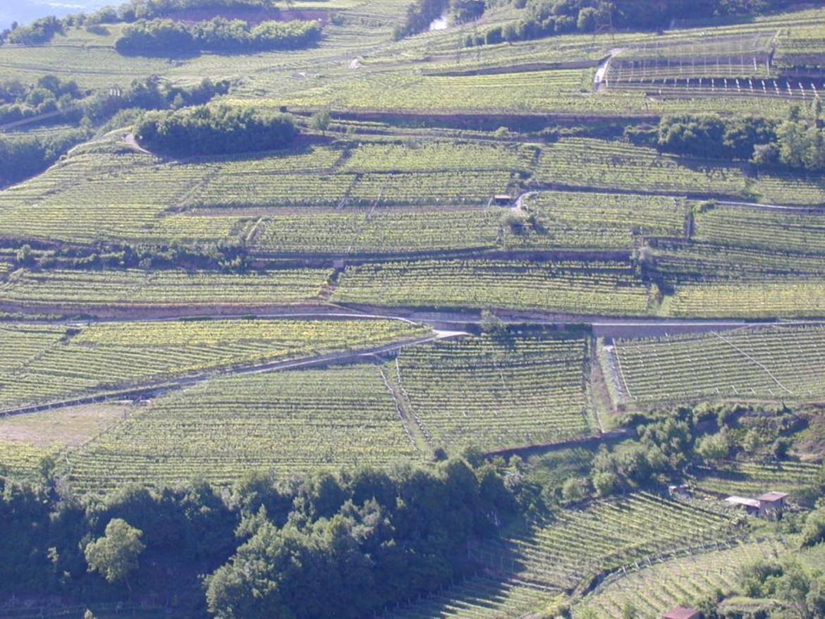 Efficienza irrigua, ecco il bando da oltre 18 milioni di euro