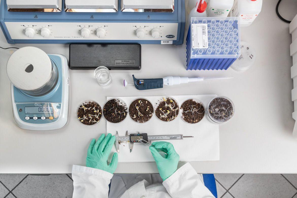 FEM al Festival dell’Economia, innovazione circolare per la competitività dei territori