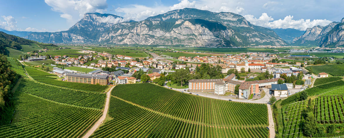 A Pergine l’11^ Giornata tecnica dei piccoli frutti