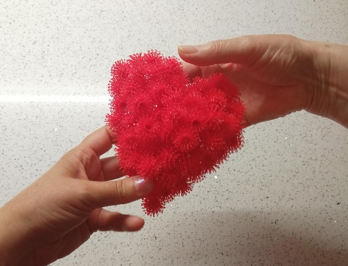 Oggi è la Giornata nazionale per la donazione di organi e tessuti