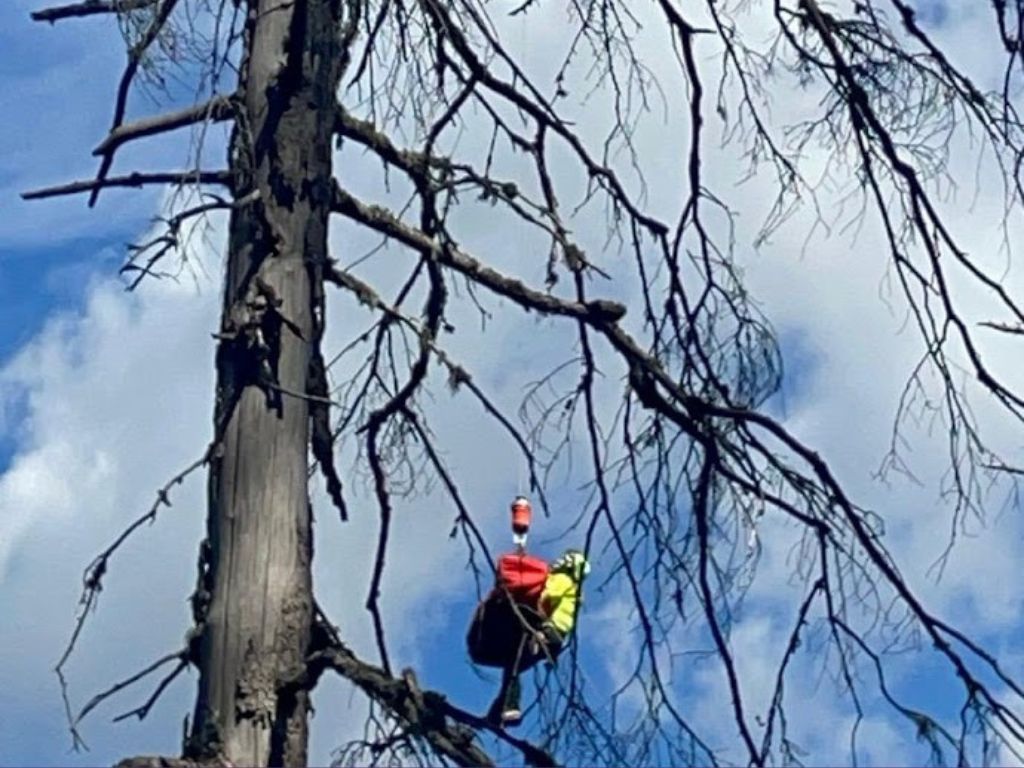Vermiglio. Intervento di soccorso per boscaiolo