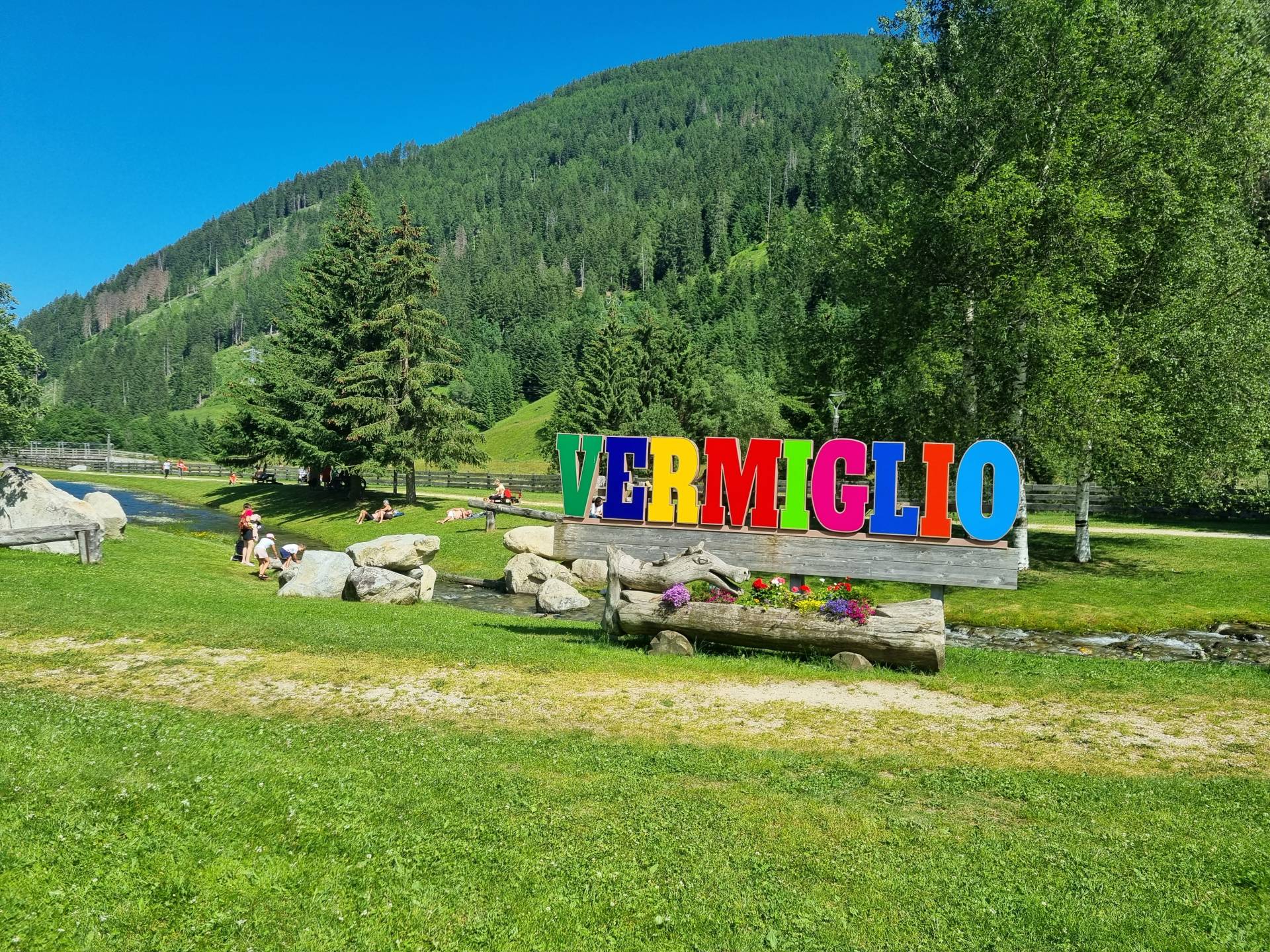 La genziana e le erbe alpine