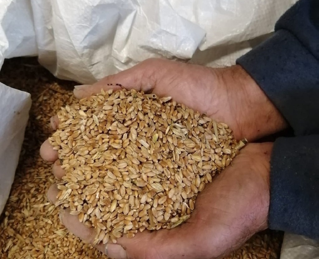 La Giornata Nazionale contro lo spreco alimentare