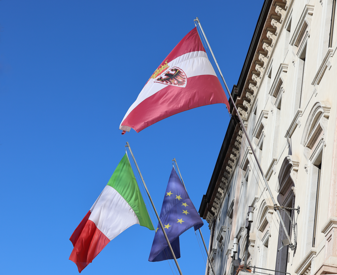 Orsa pericolosa abbattuta, respinta richiesta danni da 1,1 milioni di euro