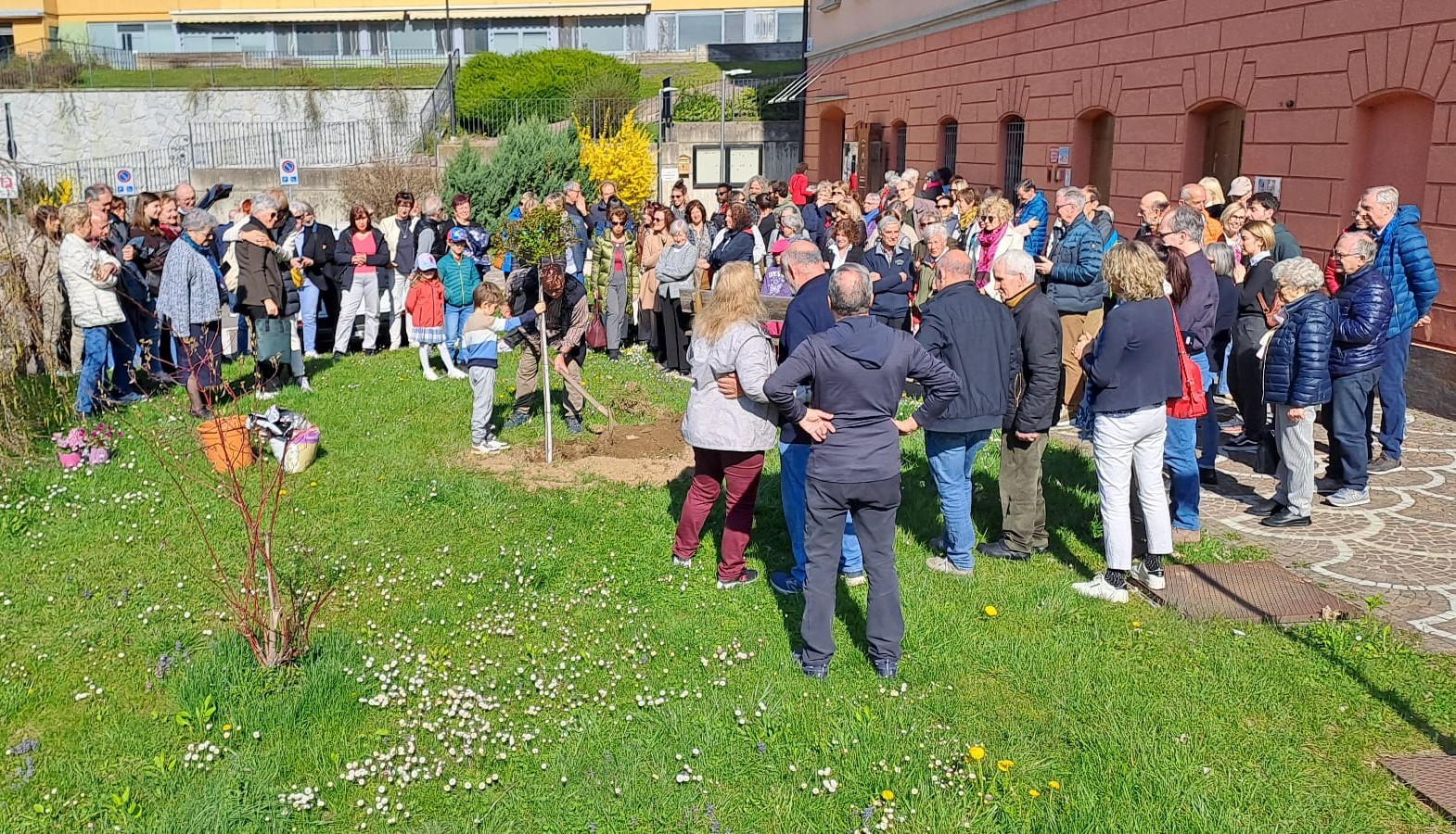 Rose bianche per Lucia Cova