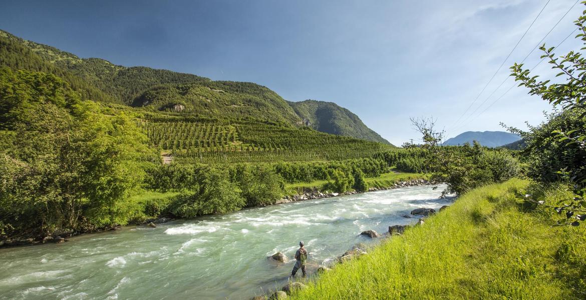 Oltre 540mila euro per i pescatori trentini