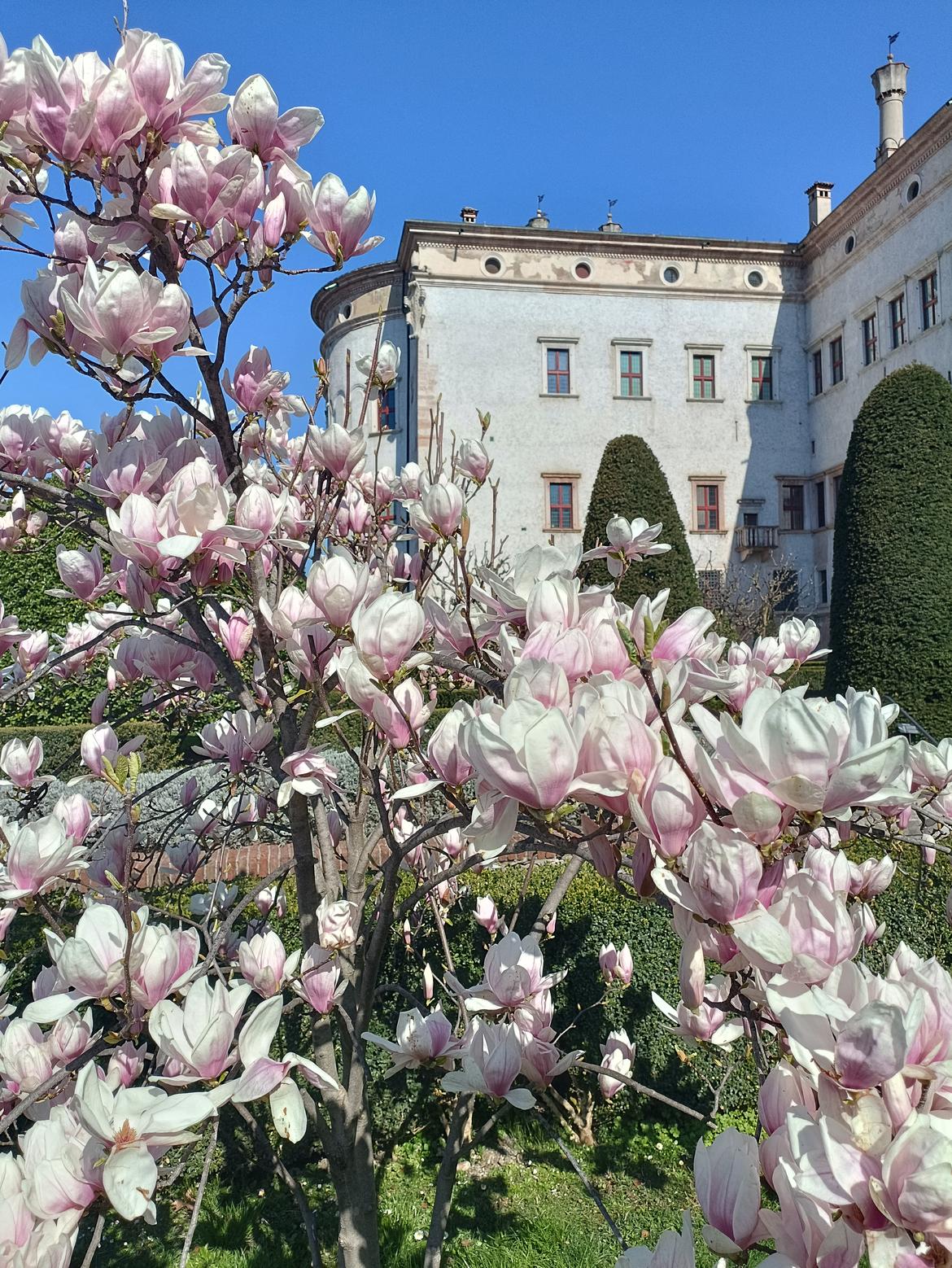 Con la primavera riaprono i castelli della rete museale del Castello del Buonconsiglio